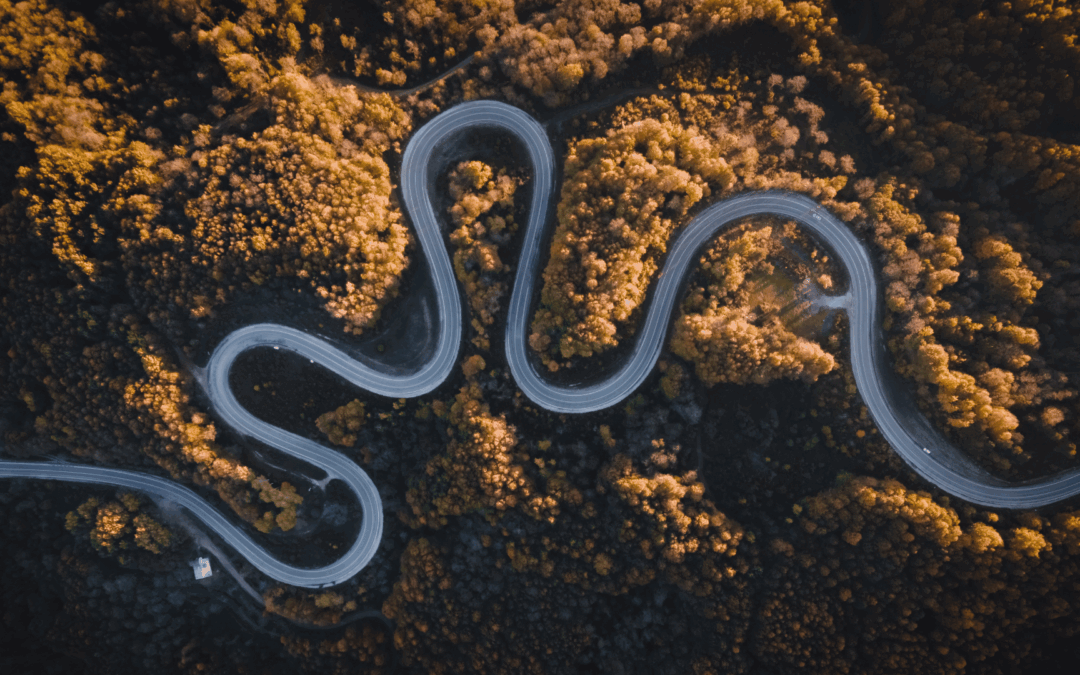 succession planning roadmap