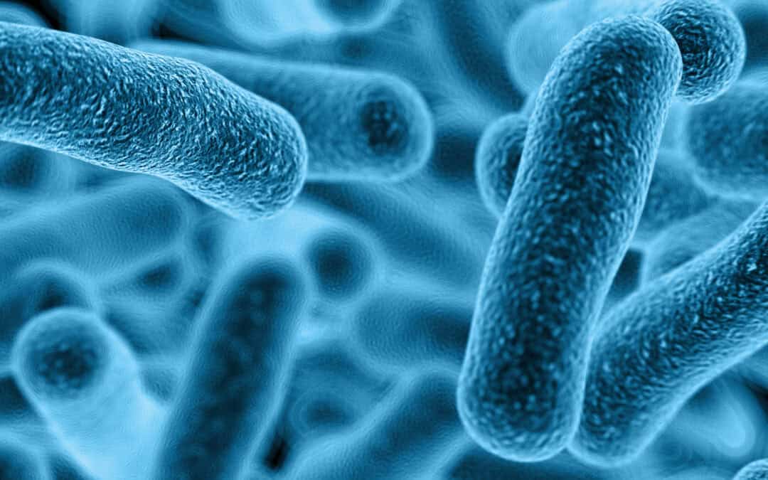 Infection Control Risk Assessment